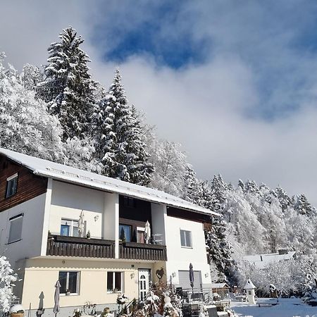 Ferienhaus Burgblick Treffen Dış mekan fotoğraf