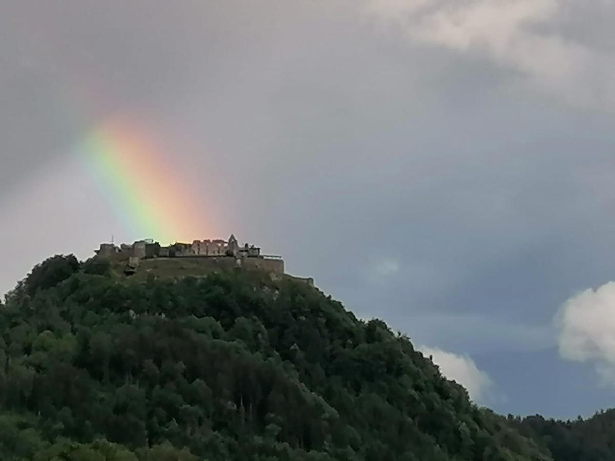 Ferienhaus Burgblick Treffen Dış mekan fotoğraf